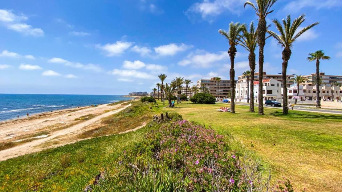 Apartamento Villa Amalia Torrevieja Esterno foto