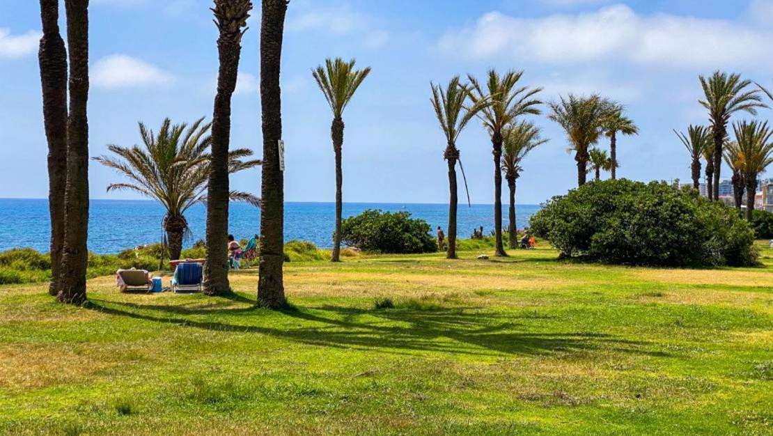 Apartamento Villa Amalia Torrevieja Esterno foto