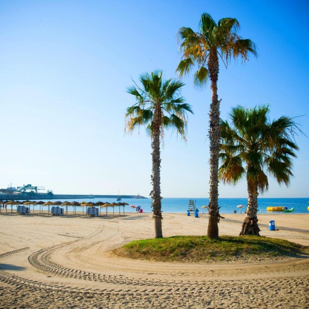 Apartamento Villa Amalia Torrevieja Esterno foto